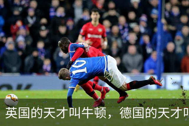 英国的天才叫牛顿，德国的天才叫爱因斯坦，那中国的天才叫什么？