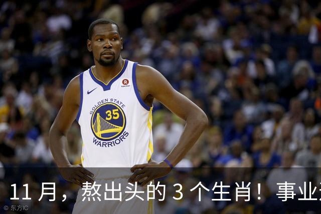 11 月，熬出头的 3 个生肖！事业逐步走高，辛苦付出开始变现